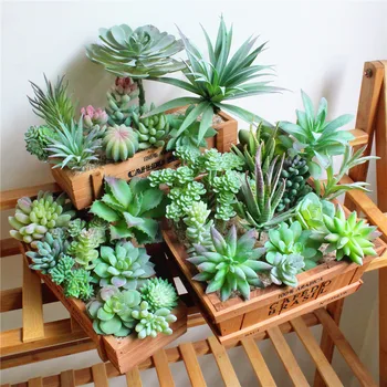 Mesterséges pozsgás növények Növények Asztali Mini Kis Bonsai Hálószoba, Nappali Dísze Fél Ellátás az Otthoni Kerti Dekoráció